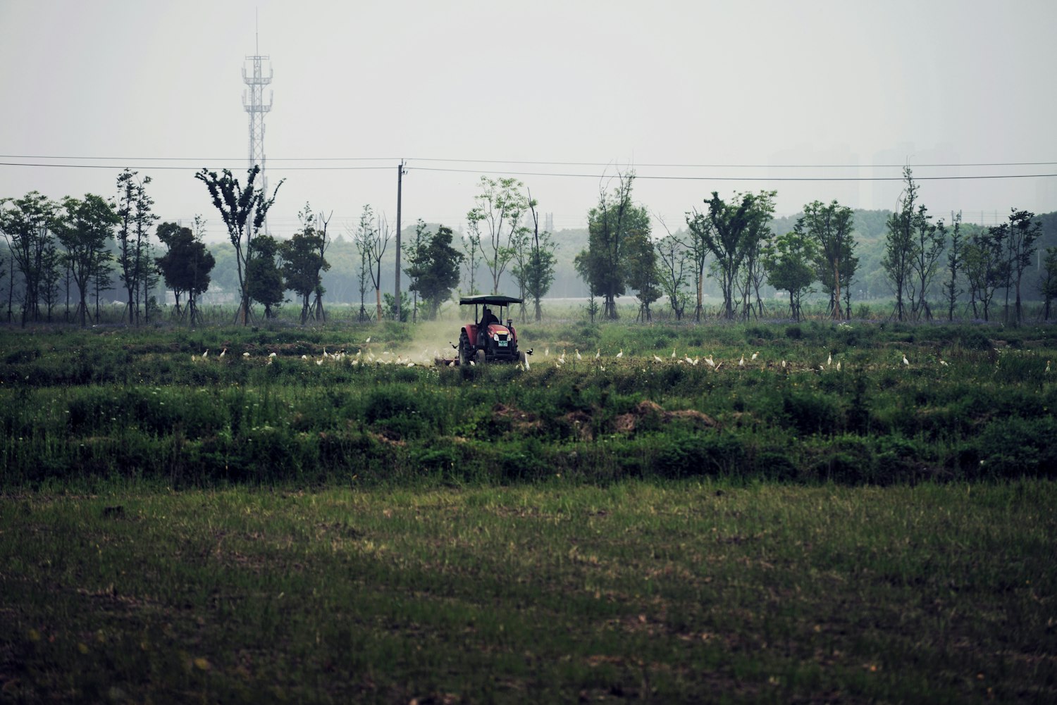 金称市天气/湖南省邵阳县金称市镇天气预报