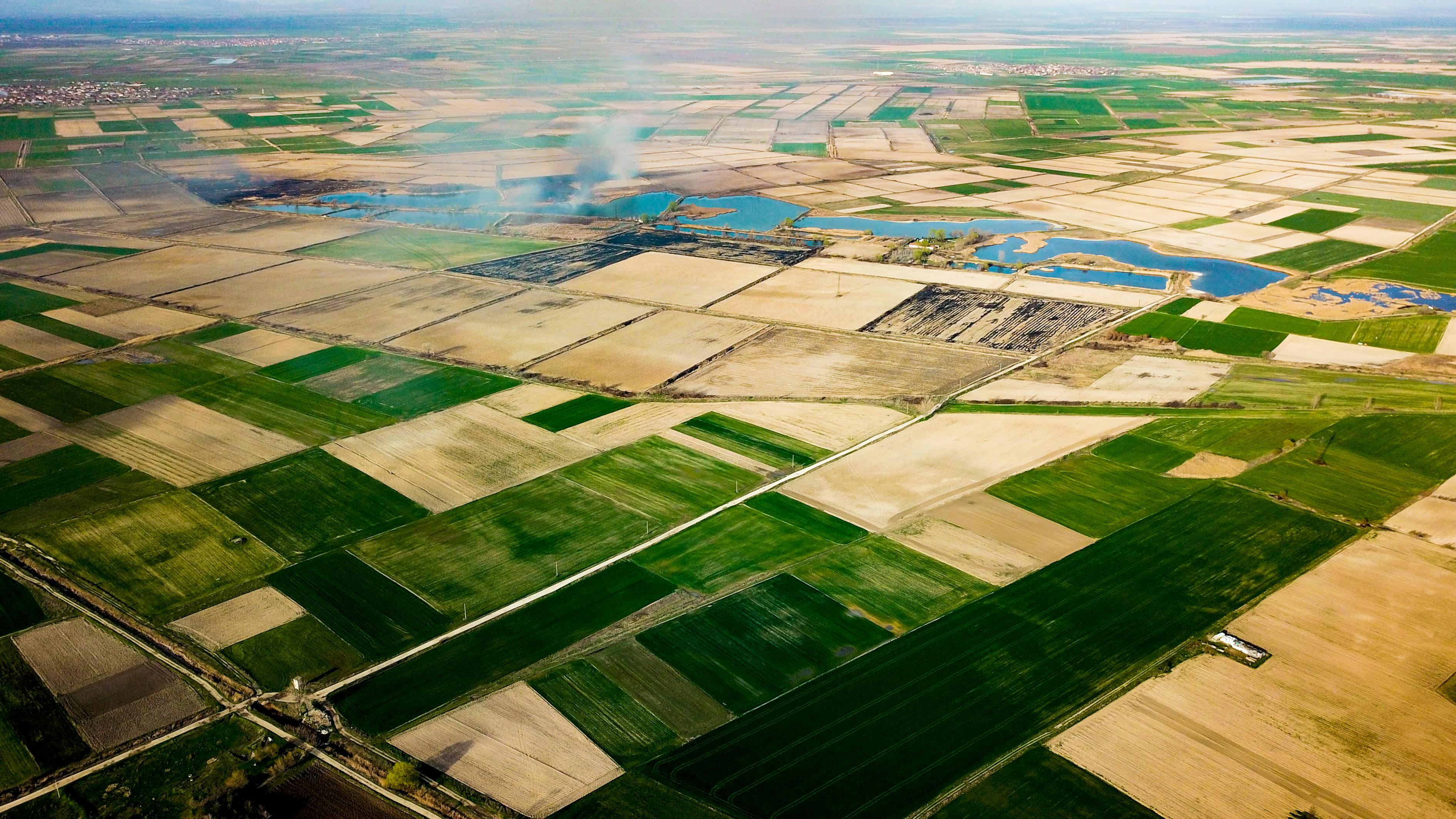 【福建省最新的疫情,福建省最新疫情最新消息3月1日】