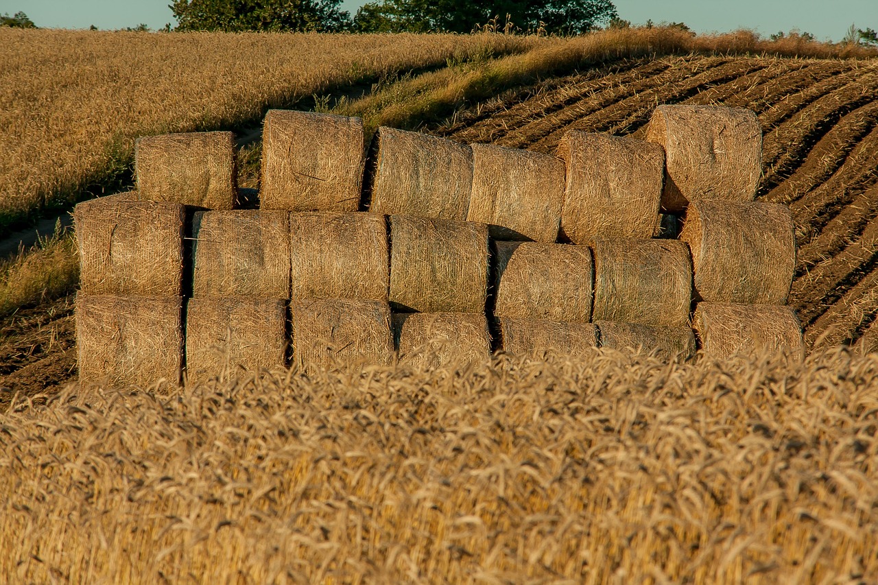 【布林克克怎么获得2020/布克林空降】