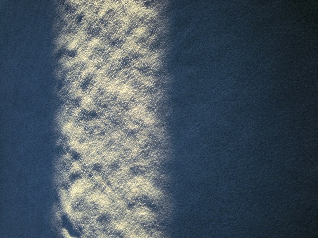 【又有29人感染,29人感染新病毒】